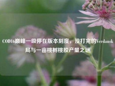 COD16巅峰一级停在版本刻度，没打完的Verdansk局与一亩桃树桃胶产量之谜
