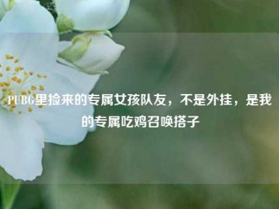 PUBG里捡来的专属女孩队友，不是外挂，是我的专属吃鸡召唤搭子