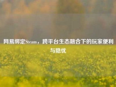 网易绑定Steam，跨平台生态融合下的玩家便利与隐忧