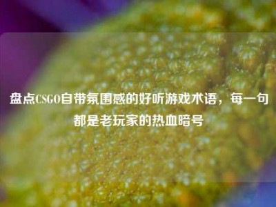 盘点CSGO自带氛围感的好听游戏术语，每一句都是老玩家的热血暗号