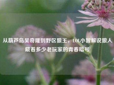 从葫芦岛吴奇隆到野区狼王，LOL小智解说狼人藏着多少老玩家的青春暗号