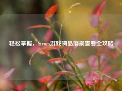轻松掌握，Steam游戏物品磨损查看全攻略