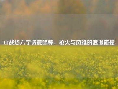 CF战场六字诗意昵称，枪火与风雅的浪漫碰撞