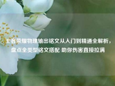 王者荣耀物理输出铭文从入门到精通全解析，盘点全类型铭文搭配 助你伤害直接拉满