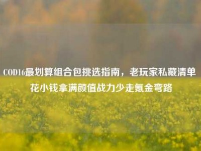 COD16最划算组合包挑选指南，老玩家私藏清单 花小钱拿满颜值战力少走氪金弯路