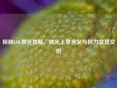 探秘LOL微光首脑，微光上单含义与权力智慧交织