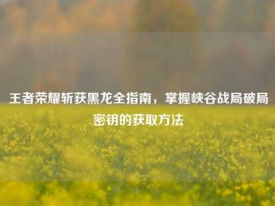 王者荣耀斩获黑龙全指南，掌握峡谷战局破局密钥的获取方法
