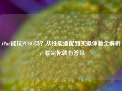 iPad能玩PUBG吗？从性能适配到实操体验全解析，看完你就有答案