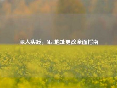 深入实践，Mac地址更改全面指南