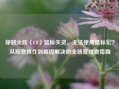 穿越火线（CF）鼠标失灵、无法使用鼠标宏？从应急操作到根因解决的全场景排查指南