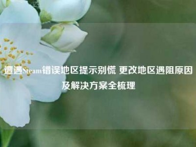 遭遇Steam错误地区提示别慌 更改地区遇阻原因及解决方案全梳理