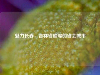 魅力长春，吉林省璀璨的省会城市