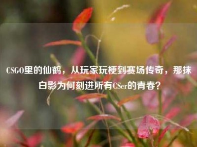 CSGO里的仙鹤，从玩家玩梗到赛场传奇，那抹白影为何刻进所有CSer的青春？
