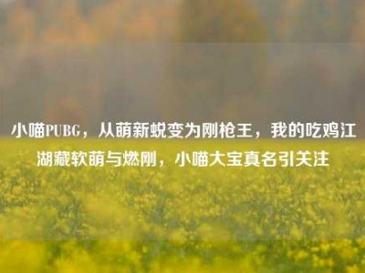 小喵PUBG，从萌新蜕变为刚枪王，我的吃鸡江湖藏软萌与燃刚，小喵大宝真名引关注