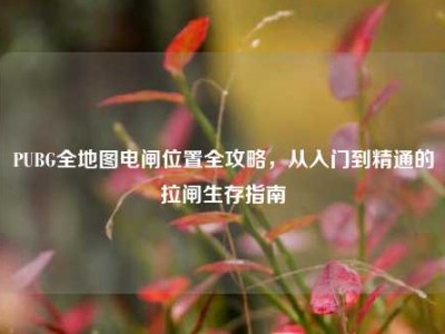 PUBG全地图电闸位置全攻略，从入门到精通的拉闸生存指南