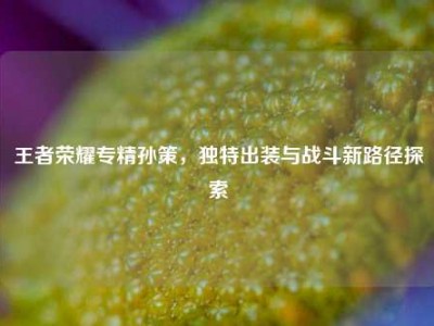 王者荣耀专精孙策，独特出装与战斗新路径探索