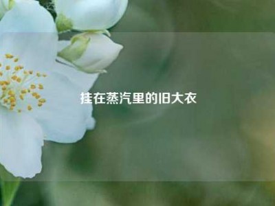 挂在蒸汽里的旧大衣