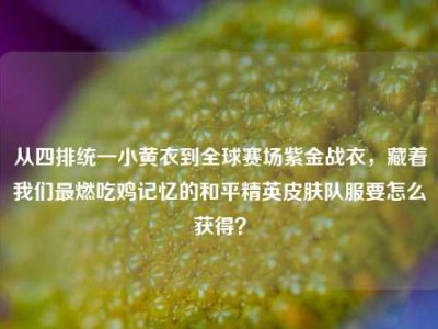从四排统一小黄衣到全球赛场紫金战衣，藏着我们最燃吃鸡记忆的和平精英皮肤队服要怎么获得？