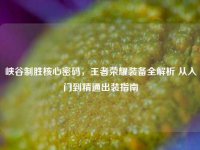峡谷制胜核心密码，王者荣耀装备全解析 从入门到精通出装指南