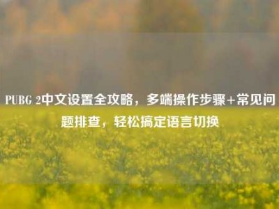 PUBG 2中文设置全攻略，多端操作步骤+常见问题排查，轻松搞定语言切换