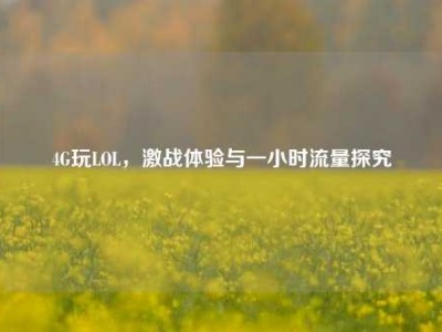 4G玩LOL，激战体验与一小时流量探究