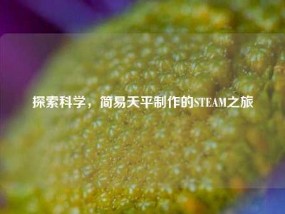 探索科学，简易天平制作的STEAM之旅