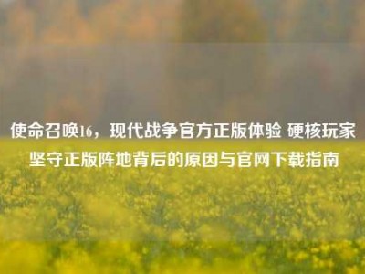 使命召唤16，现代战争官方正版体验 硬核玩家坚守正版阵地背后的原因与官网下载指南