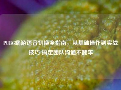 PUBG端游语音切换全指南，从基础操作到实战技巧 搞定团队沟通不翻车