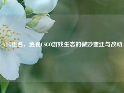 AUG更名，透视CSGO游戏生态的微妙变迁与改动