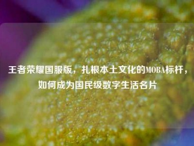 王者荣耀国服版，扎根本土文化的MOBA标杆，如何成为国民级数字生活名片
