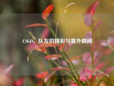 CSGO，队友的精彩与意外瞬间