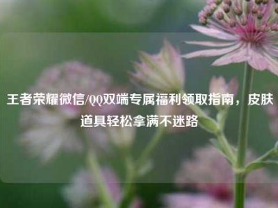 王者荣耀微信/QQ双端专属福利领取指南，皮肤道具轻松拿满不迷路