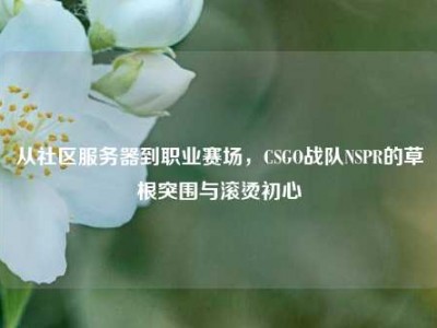 从社区服务器到职业赛场，CSGO战队NSPR的草根突围与滚烫初心