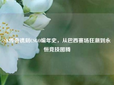 SK传奇镌刻CSGO编年史，从巴西赛场狂潮到永恒竞技图腾