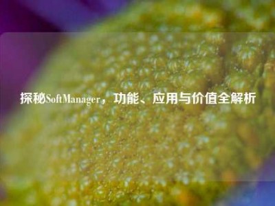 探秘SoftManager，功能、应用与价值全解析