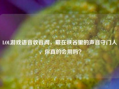 LOL游戏语音收音阀，藏在峡谷里的声音守门人，你真的会用吗？