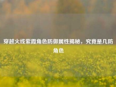 穿越火线紫霞角色防御属性揭秘，究竟是几防角色