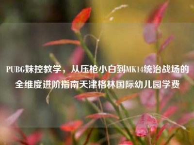 PUBG妹控教学，从压枪小白到MK14统治战场的全维度进阶指南天津格林国际幼儿园学费