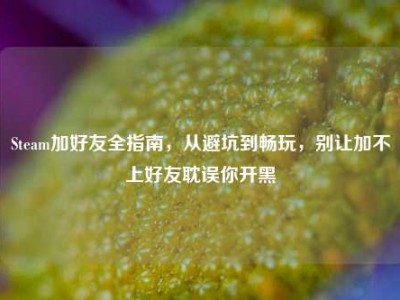 Steam加好友全指南，从避坑到畅玩，别让加不上好友耽误你开黑