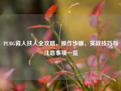 PUBG背人扶人全攻略，操作步骤、实战技巧与注意事项一览