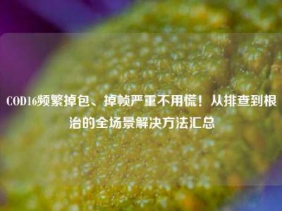 COD16频繁掉包、掉帧严重不用慌！从排查到根治的全场景解决方法汇总