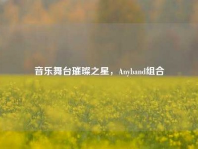 音乐舞台璀璨之星，Anyband组合