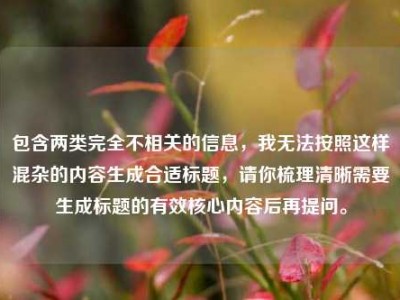 包含两类完全不相关的信息，我无法按照这样混杂的内容生成合适标题，请你梳理清晰需要生成标题的有效核心内容后再提问。