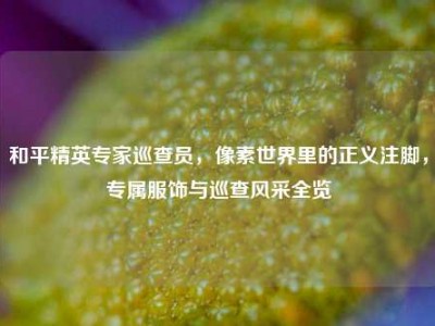 和平精英专家巡查员，像素世界里的正义注脚，专属服饰与巡查风采全览