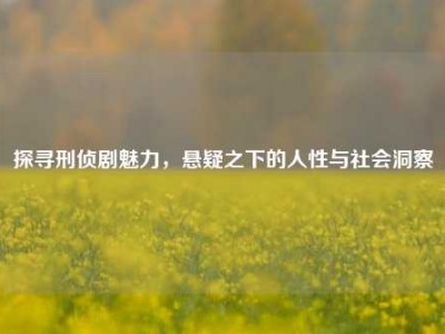 探寻刑侦剧魅力，悬疑之下的人性与社会洞察