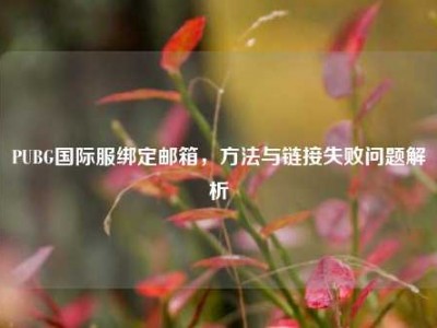 PUBG国际服绑定邮箱，方法与链接失败问题解析