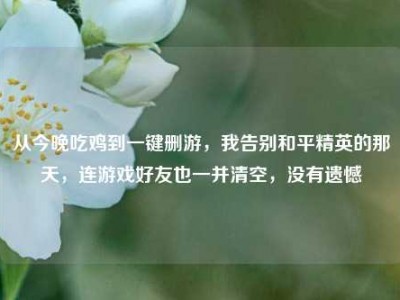 从今晚吃鸡到一键删游，我告别和平精英的那天，连游戏好友也一并清空，没有遗憾