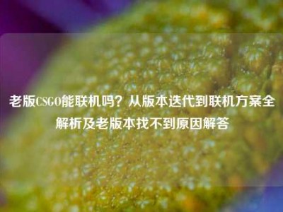 老版CSGO能联机吗？从版本迭代到联机方案全解析及老版本找不到原因解答