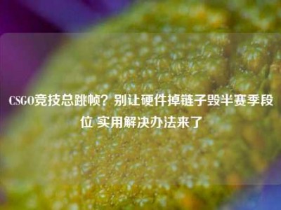 CSGO竞技总跳帧？别让硬件掉链子毁半赛季段位 实用解决办法来了