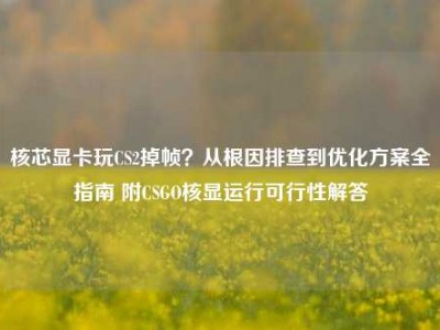 核芯显卡玩CS2掉帧？从根因排查到优化方案全指南 附CSGO核显运行可行性解答